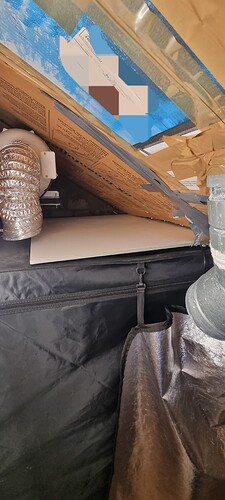 Growreport Bild 20