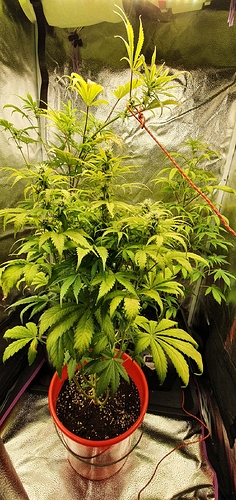 Growreport Bild 5
