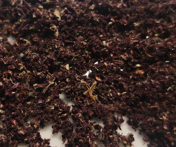 Growreport Bild 18