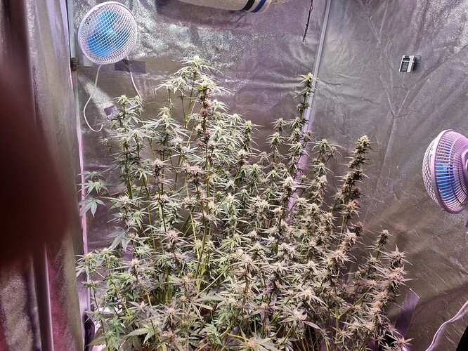Growreport Bild 23