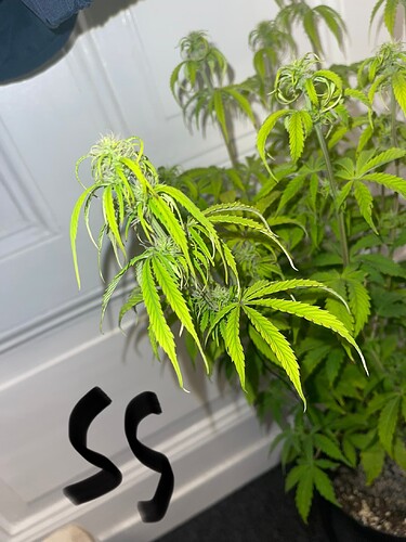 Growreport Bild 16