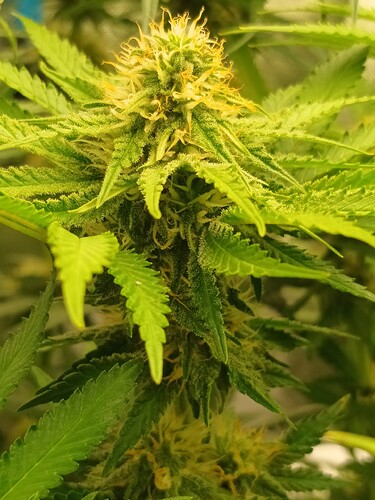 Growreport Bild 24