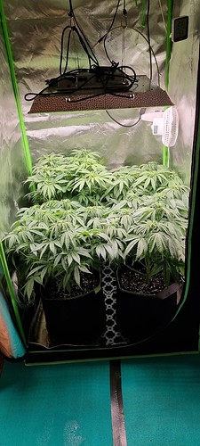 Growreport Bild 18
