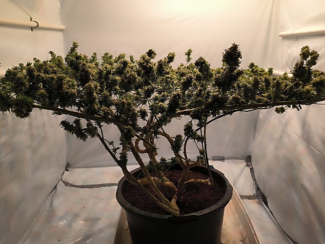 Growreport Bild 17