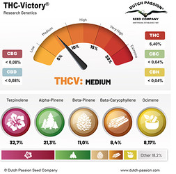 THC Victory