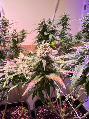 Growreport Bild 18