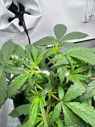 Growreport Bild 22