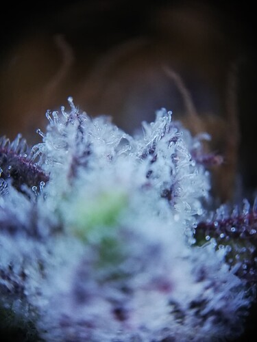 GG#2_240112-5