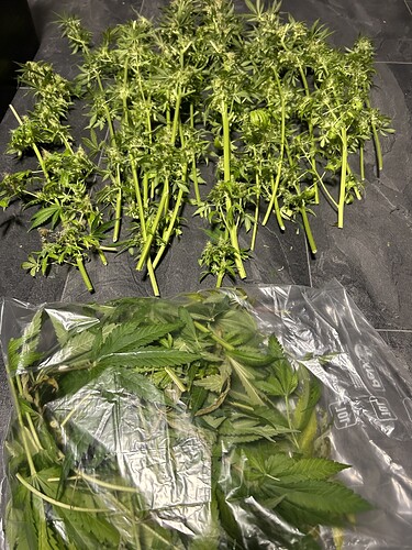 Growreport Bild 10