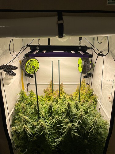 Growreport Bild 5