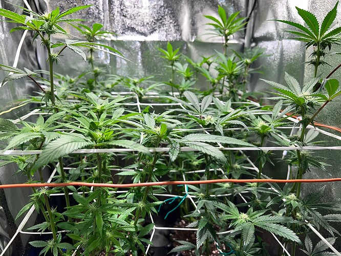 Growreport Bild 18