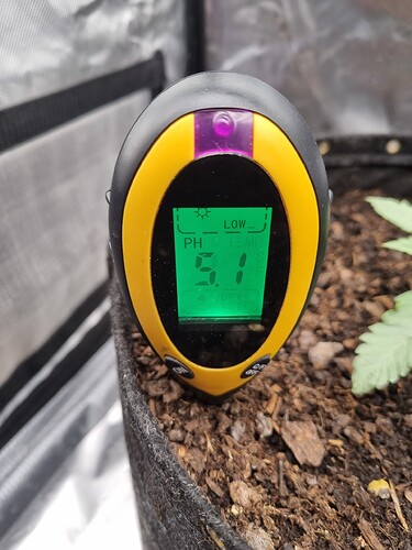 Growreport Bild 44
