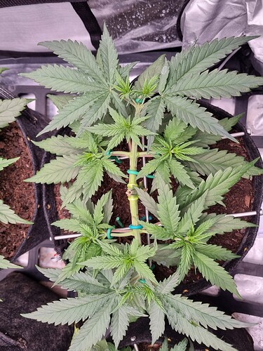 Growreport Bild 18