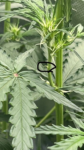 Growreport Bild 21