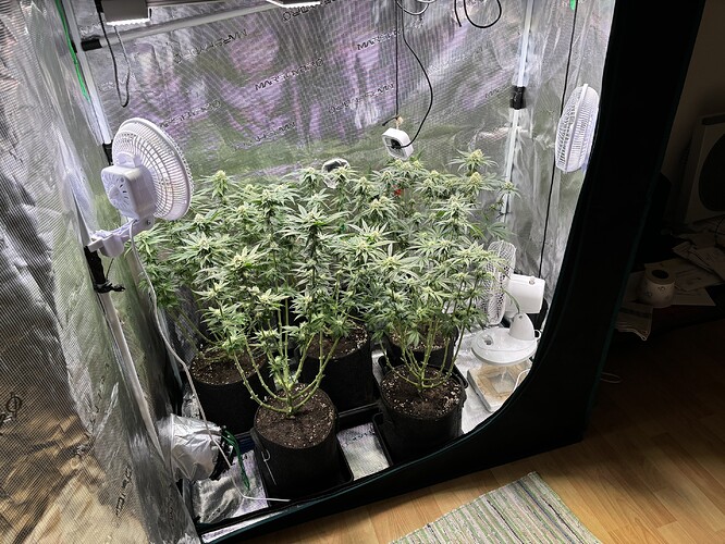 Growreport Bild 5