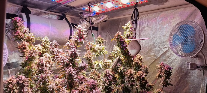 Growreport Bild 21