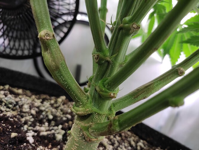 Growreport Bild 11