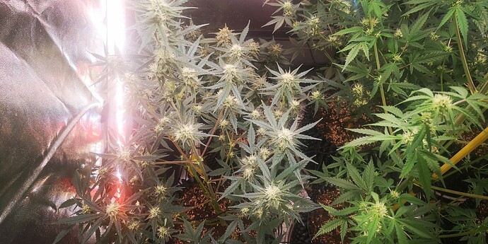 Growreport Bild 14