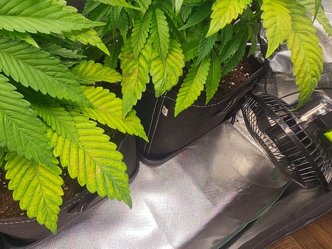 Growreport Bild 9