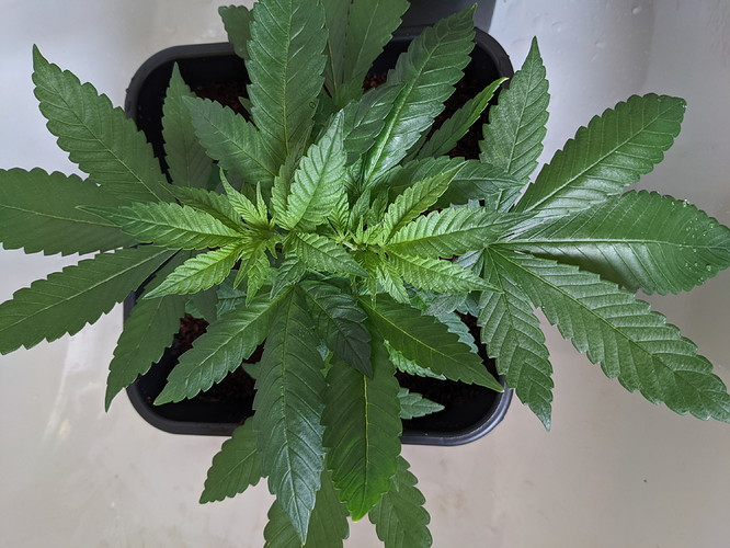 PXL_20210727_082714120 - Kopie