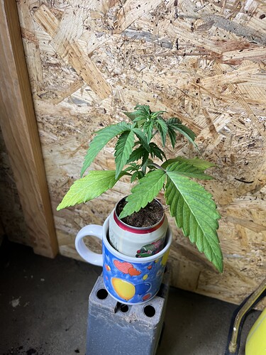 Growreport Bild 20