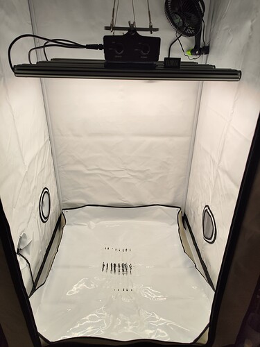 Growreport Bild 15