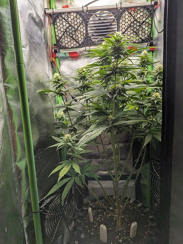Growreport Bild 11