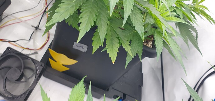 Growreport Bild 13