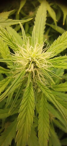 IMG_20240106_113922_1