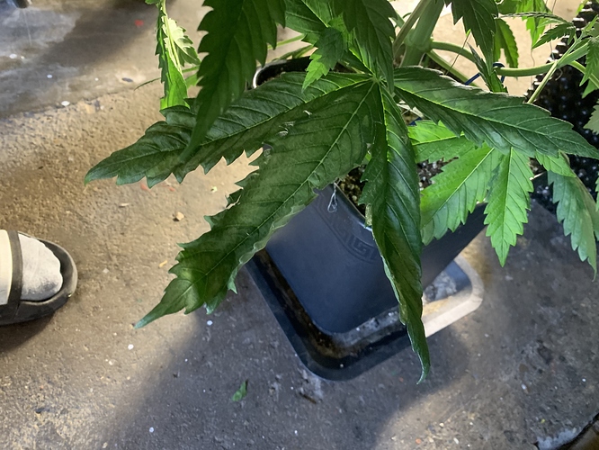 Growreport Bild 11