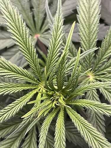 Growreport Bild 1