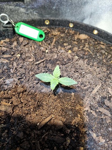 Growreport Bild 8