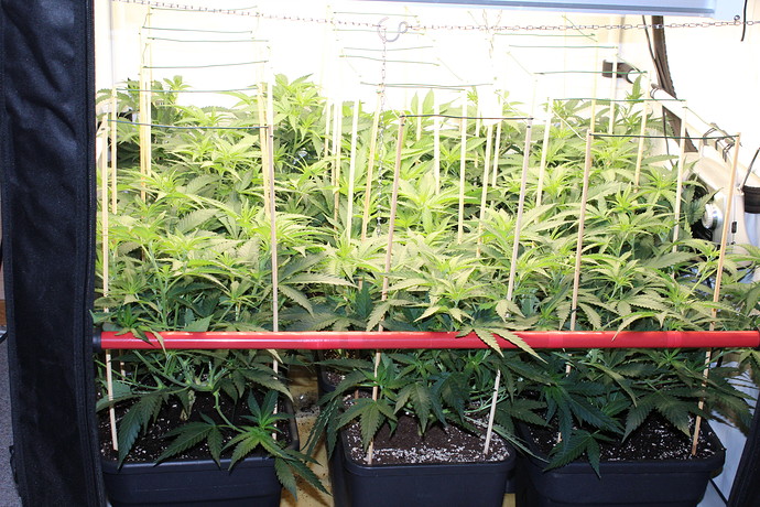 Growreport Bild 14
