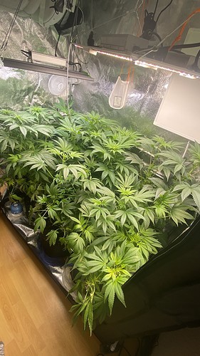 Growreport Bild 8