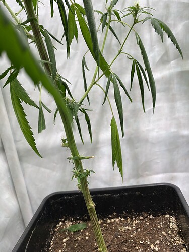 Growreport Bild 5