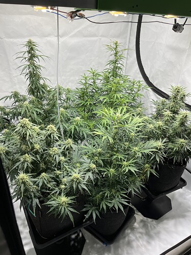 Growreport Bild 17