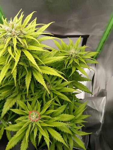 IMG_20230604_112201~2