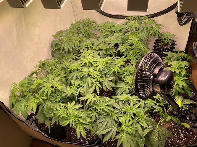 Growreport Bild 2