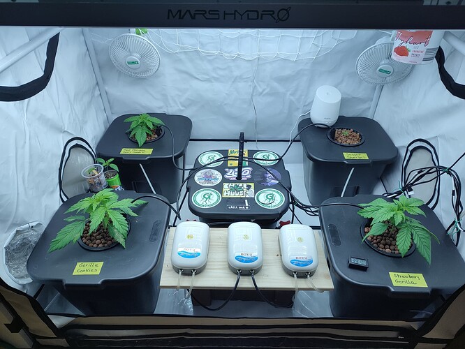 Growreport Bild 39