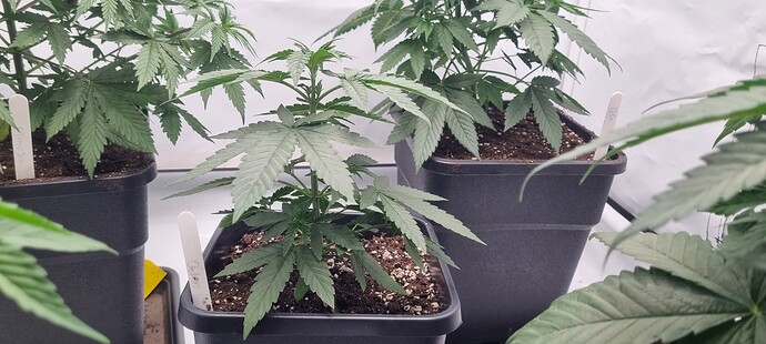 Growreport Bild 14