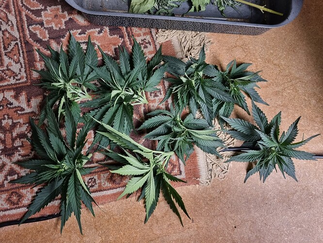 Growreport Bild 24