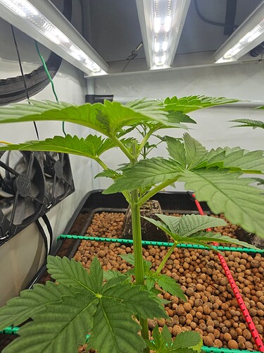 Growreport Bild 7
