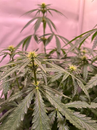 Growreport Bild 18