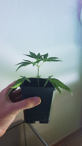 Growreport Bild 8