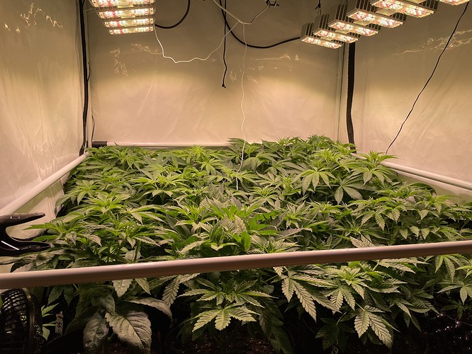 Growreport Bild 15