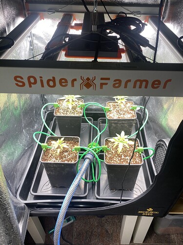 Growreport Bild 9