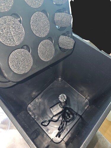 Growreport Bild 32