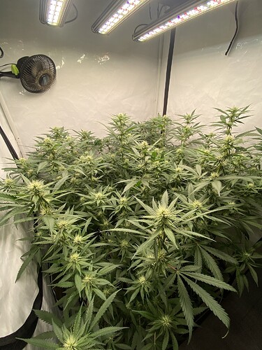 Growreport Bild 11