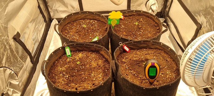 Growreport Bild 18