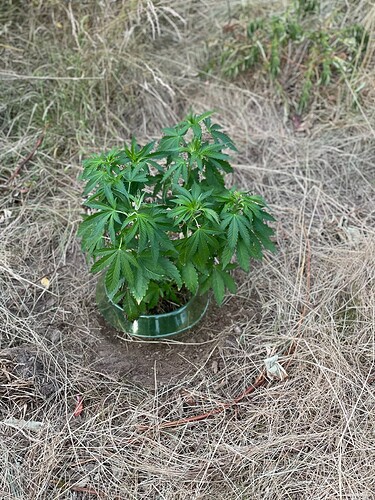 Growreport Bild 18